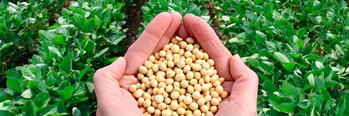 image for Agriculture