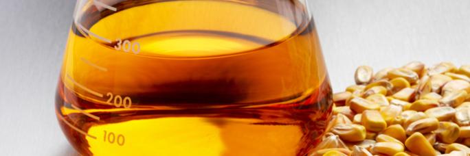 image for Bioenergy