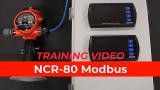 Wire a BinMaster NCR-80 Modbus Level Sensor to a DPM-100 Digital Panel Meter
